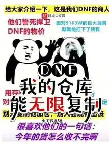 DNF：我的仓库能无限复制